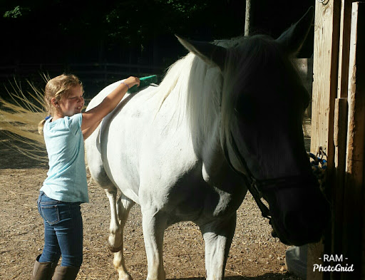 Grooming: Caring For and Enhancing Your Horse's Tail, Stable Talk